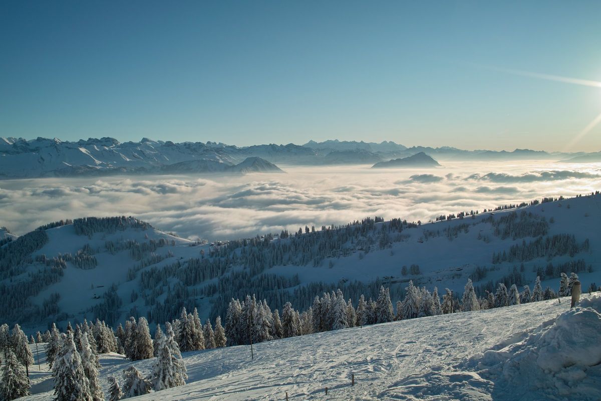 Blick von der Rigi auf ein Nebelmeer und die Alpen im Winter