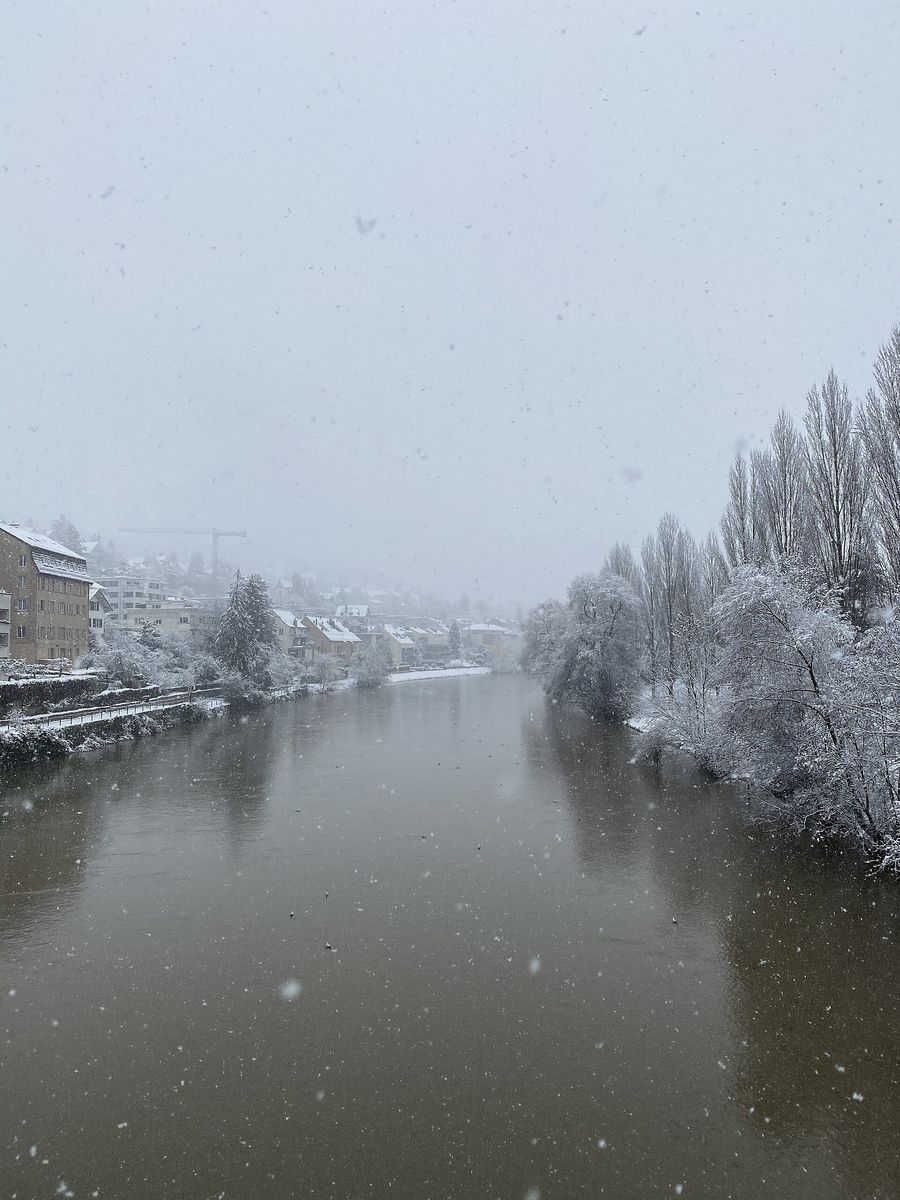 Die Limmat in Zürich im Winter mit verschneiten Bäumen