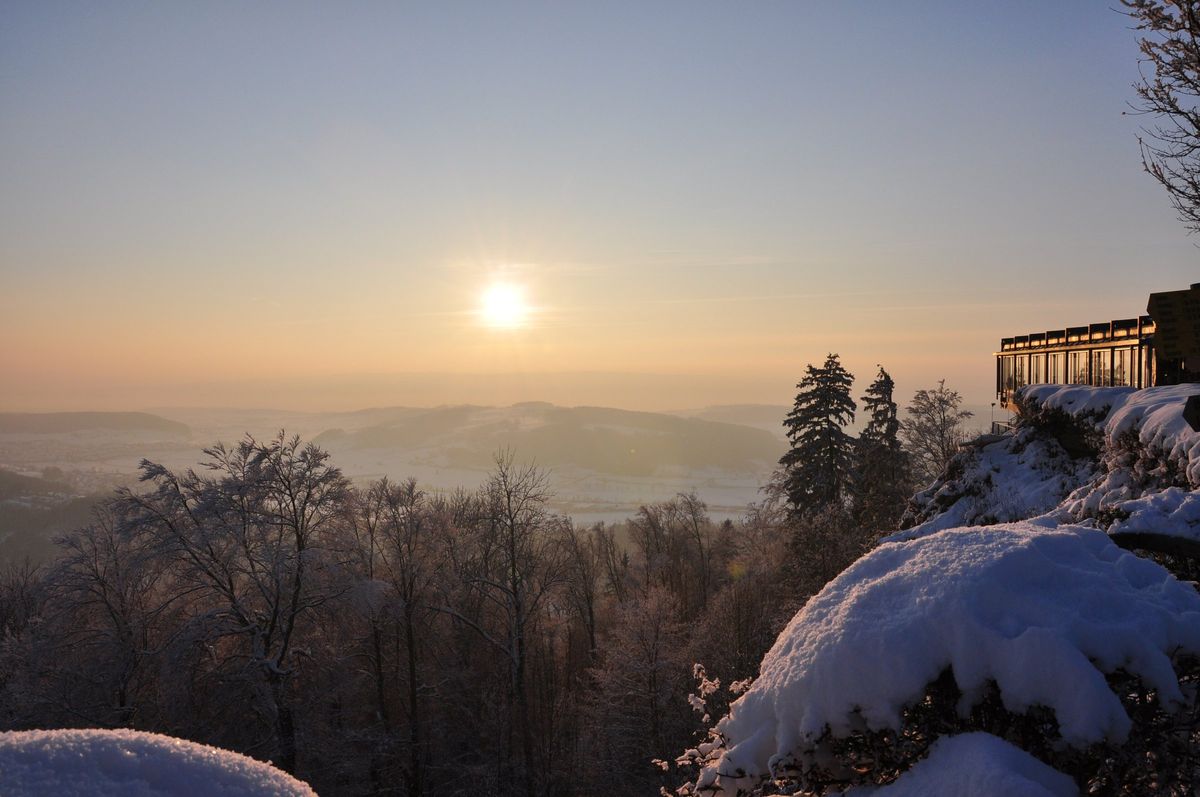 Sonnenuntergang über verschneiten Bäumen auf dem Uetliberg